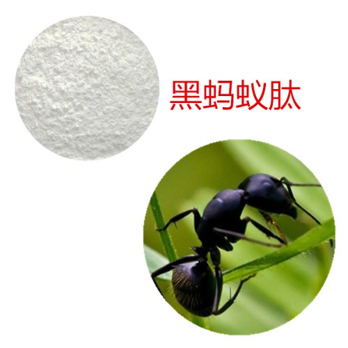 黑蚂蚁多肽 90%  黑蚂蚁蛋白 黑蚂蚁小分子肽