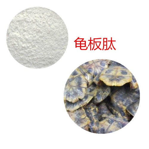 龟板多肽 龟板蛋白 龟板小分子肽 龟板肽