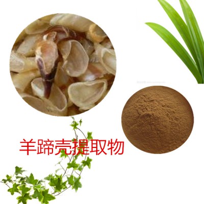 羊蹄壳提取物 水提 羊蹄壳速溶粉 羊蹄壳浸膏 羊蹄壳粉