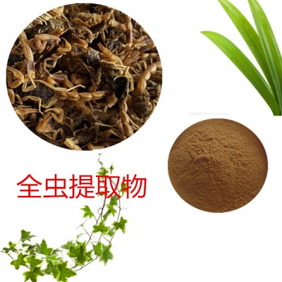 全虫提取物 水提  全虫速溶粉 全虫浸膏 全虫粉