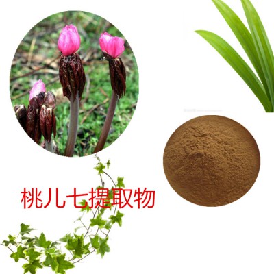 桃儿七提取物 水提 桃儿七速溶粉 桃儿七浸膏 桃儿七粉