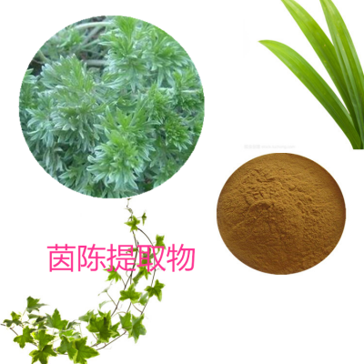 茵陈提取物 水提 茵陈速溶粉  茵陈浸膏 茵陈粉