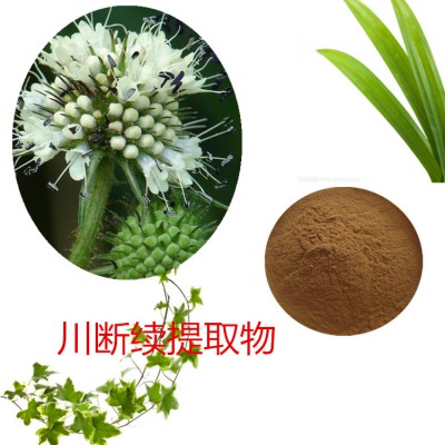 续断提取物 水提 续断速溶粉  川续断浸膏 续断粉