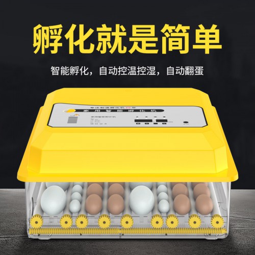 鸡苗孵化器家用智能全自动小型孵化机10枚20枚孵蛋器