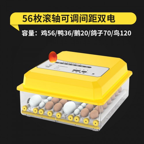 孵化器用小型20枚30枚40枚50枚鸡蛋孵化机全自动智能孵机