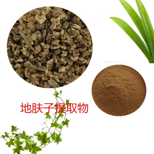 地肤子提取物 地肤子速溶粉  地肤子浸膏 地肤子粉