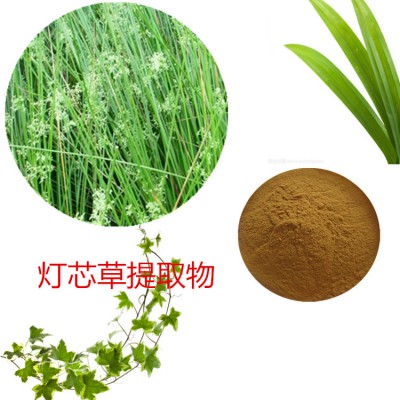 灯心草提取物 水提 灯芯草速溶粉 灯芯草浸膏 灯芯草粉
