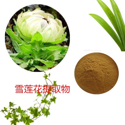 雪莲花提取物 水提 雪莲花速溶粉 雪莲花浸膏 雪莲花粉