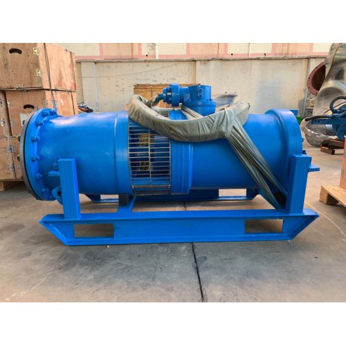 立式潜水轴流泵