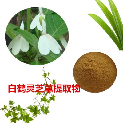 白鹤灵芝提取物 白鹤灵芝速溶粉 白鹤灵芝浸膏