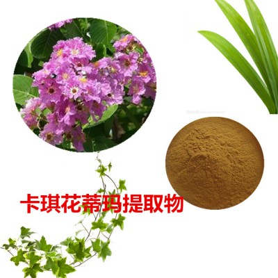 卡琪花蒂玛提取物 卡琪花蒂玛速溶粉 卡琪花蒂玛浸膏
