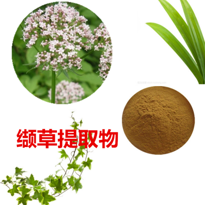 缬草提取物 水缬草速溶粉 缬草浸膏 缬草粉