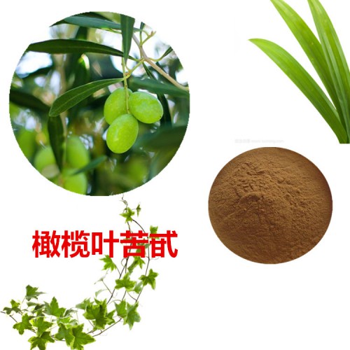 橄榄叶苦甙  20% 羟基酪醇  20% 橄榄叶提取物