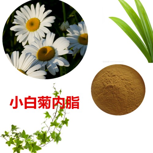 小白菊提取物 水提 小白菊内脂 2%  小白菊浸膏粉