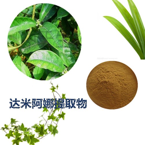 达米阿那提取物 达米阿那速溶粉 达米阿那浸膏