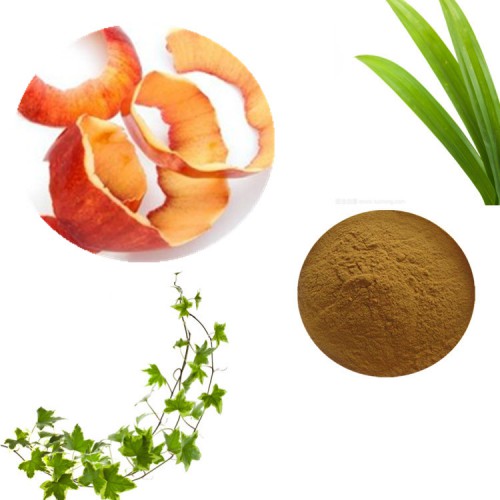 苹果皮提取物 根皮素98%  苹果皮浸膏  苹果皮粉
