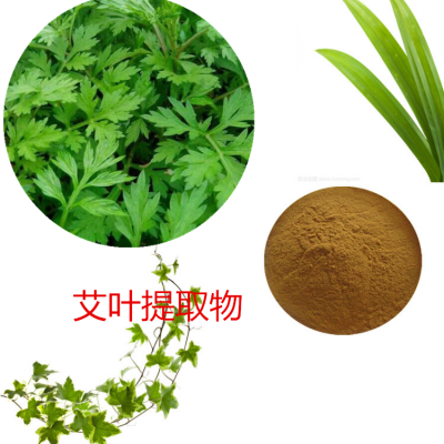 艾叶提取物 水提 艾叶速溶粉 艾叶浸膏 艾叶粉