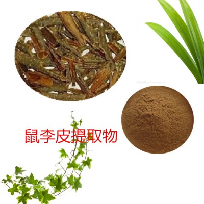 鼠李皮提取物 水提 10:1  鼠李皮浸膏 鼠李皮速溶粉
