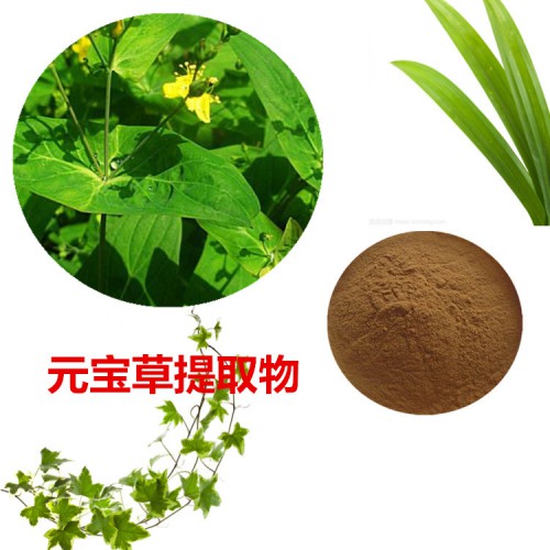 元宝草提取物 水提  元宝草速溶粉 元宝草浸膏 元宝草粉