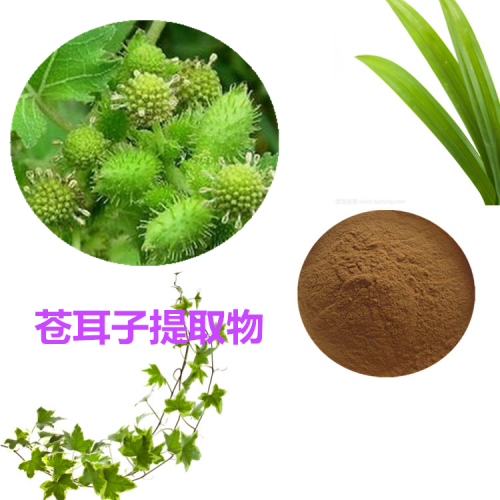 苍耳子提取物 水提  苍耳子速溶粉 苍耳子浸膏 苍耳子粉