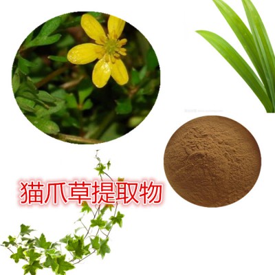 猫爪草提取物 水提 猫爪草速溶粉 猫爪草浸膏 猫爪草粉