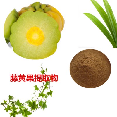 藤黄果提取物 水提 藤黄果速溶粉 藤黄果浸膏 藤黄果粉