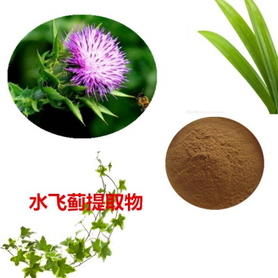 水飞蓟提取物 水提  水飞蓟速溶粉 水飞蓟浸膏 水飞蓟粉