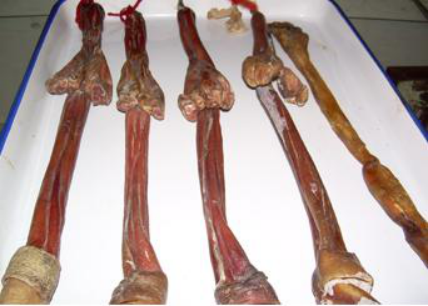 Summer beach concept