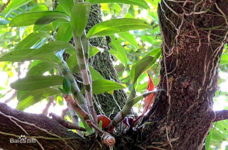 Summer beach concept