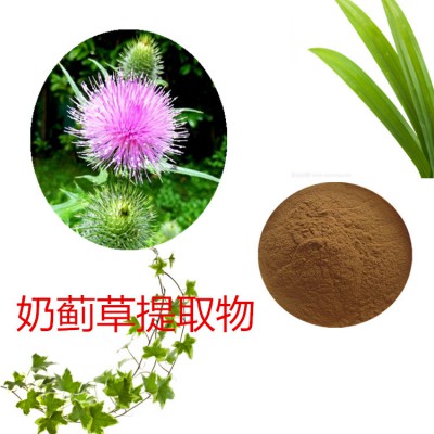 奶蓟草提取物 水提 奶蓟草速溶粉 奶蓟草浸膏 奶蓟草粉 水溶