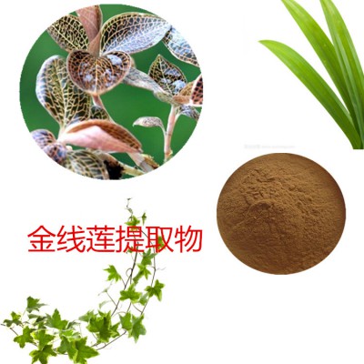 金线莲提取物 水提 金线莲速溶粉 金线莲浸膏 金线莲粉 水溶