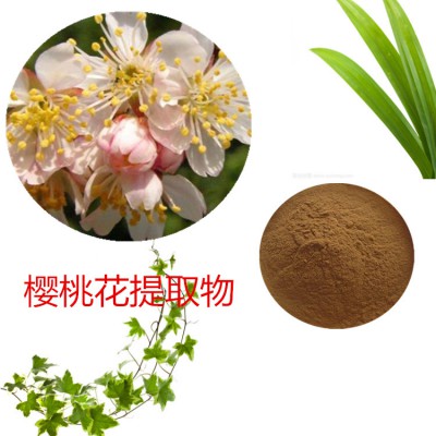 樱桃花提取物 水提 樱桃花速溶粉 樱桃花浸膏 樱桃花粉 水溶