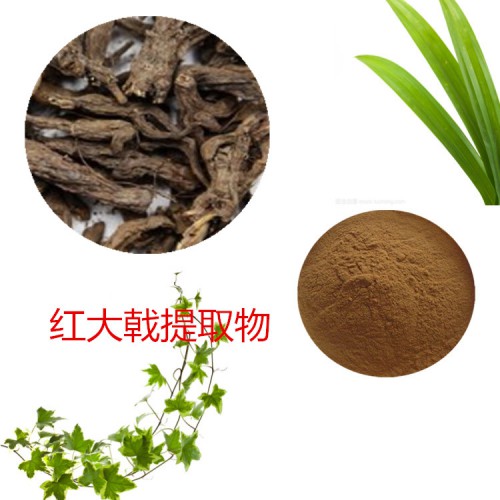 红大戟提取物 红大戟速溶粉 红大戟浸膏 红大戟粉