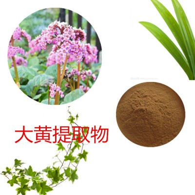 大黄提取物 水提 大黄速溶粉  大黄浸膏 大黄粉 水溶