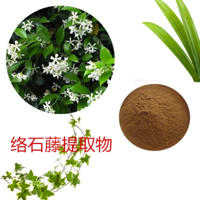 络石藤提取物 水提 络石藤速溶粉  络石藤浸膏 络石藤粉