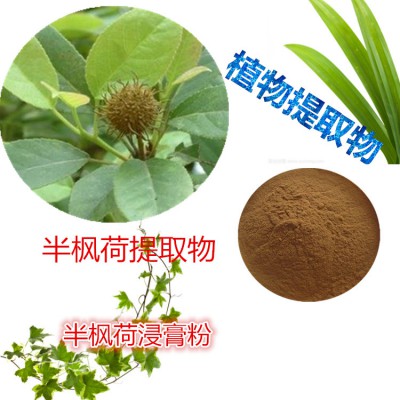 半枫荷提取物 水提 半枫荷速溶粉 半枫荷浸膏 半枫荷粉 水溶