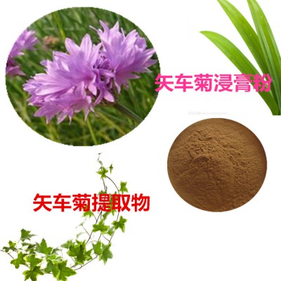 矢车菊提取物 水提 矢车菊速溶粉 矢车菊浸膏 矢车菊粉 水溶
