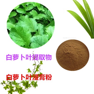 白萝卜叶提取物 水提 白萝卜叶速溶粉 白萝卜叶浸膏