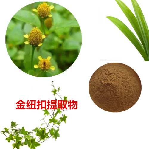 金纽扣提取物 水提 凤尾草速溶粉 金纽扣浸膏 金纽扣粉