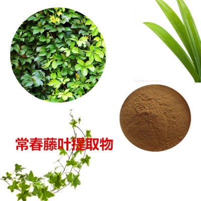 常春藤叶提取物 水提 凤尾草速溶粉 常春藤叶浸膏