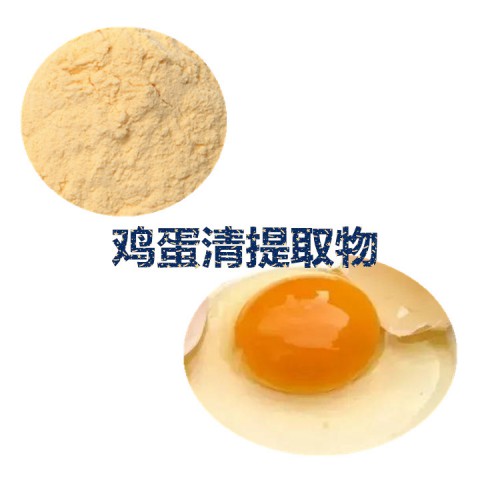 鸡蛋清提取物  鸡蛋清粉  鸡蛋清速溶粉  鸡蛋清浸膏粉