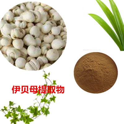伊贝母提取物  伊贝母清粉  伊贝母速溶粉  伊贝母浸膏粉
