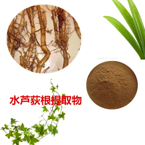 水芦荻根提取物  水芦荻根清粉  水芦荻根速溶粉