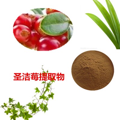 圣洁莓提取物  圣洁莓粉  圣洁莓速溶粉  圣洁莓浸膏粉
