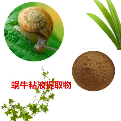 蜗牛黏液提取物  蜗牛黏液粉  蜗牛黏液速溶粉
