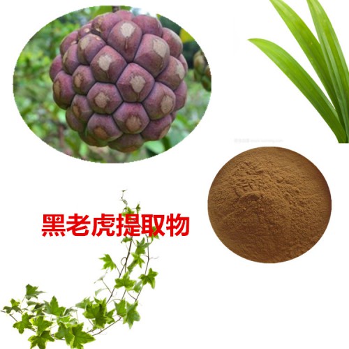 黑老虎提取物  黑老虎粉  黑老虎速溶粉 黑老虎浸膏粉