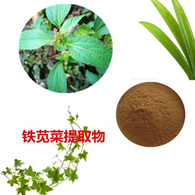 铁苋菜提取物  铁苋菜粉  铁苋菜速溶粉 铁苋菜浸膏粉