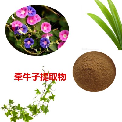 牵牛子提取物  牵牛子粉 牵牛子速溶粉 牵牛子浸膏粉
