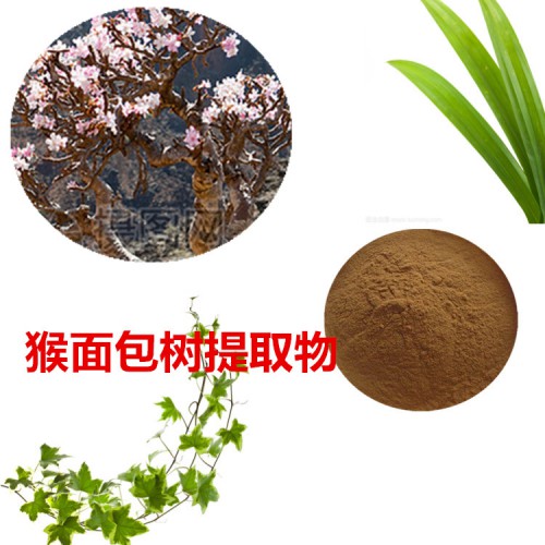 猴面包树 提取物  猴面包树粉  猴面包树速溶粉