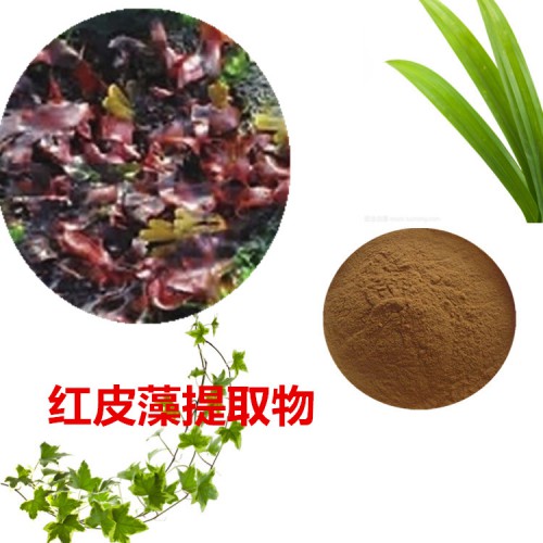 红皮藻提取物  红皮藻粉  红皮藻速溶粉  红皮藻浸膏粉
